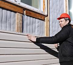 Best Historical Building Siding Restoration  in Bartonvle, IL